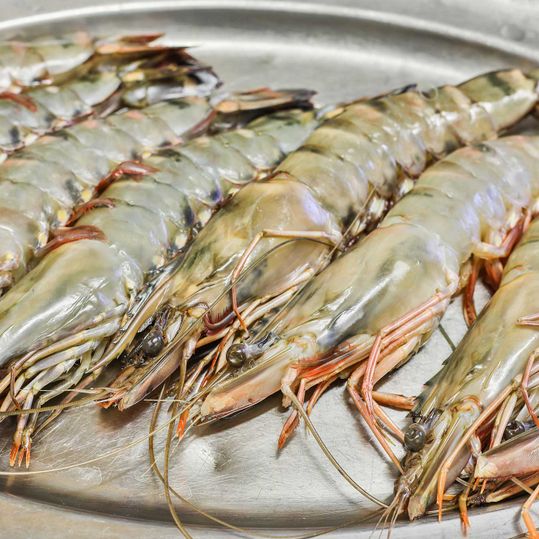 Aktuelles Mittagsmenü